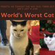 Image for article titled I'm Inspired By This Cat Who Everyone Thought Was Sick But Is Actually Just an Asshole